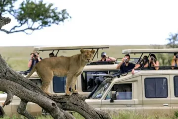 Safari in Africa