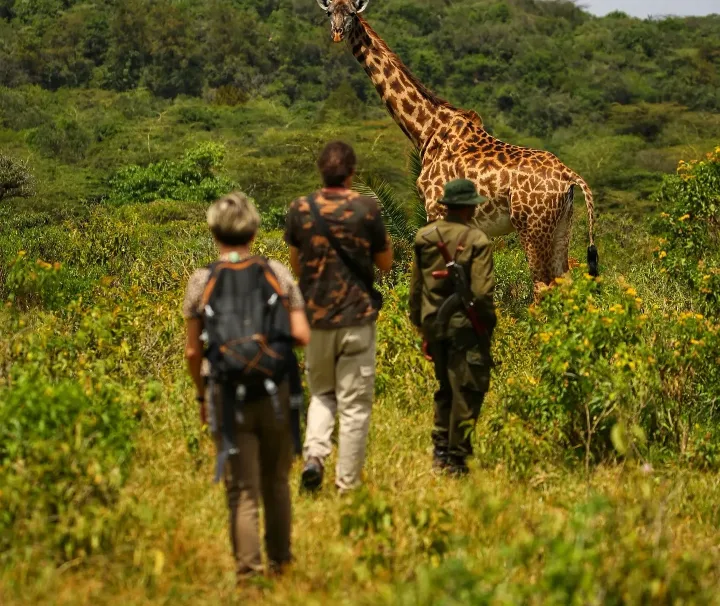 Arusha National Park