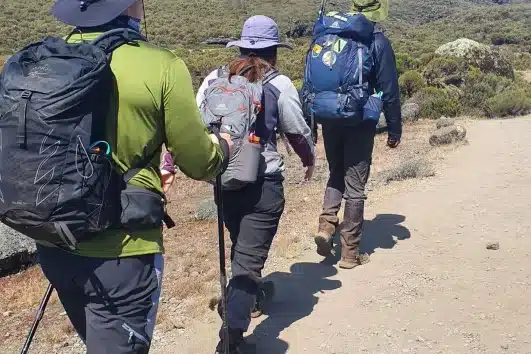 Kilimanjaro Africa 6 Epic Days Marangu Trek