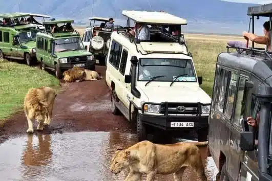 East Africa Itinerary