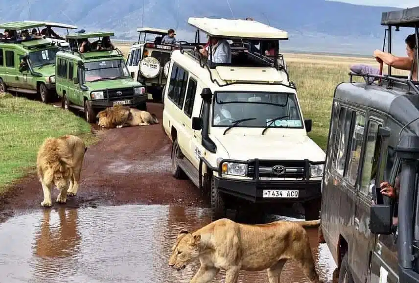 East Africa Itinerary