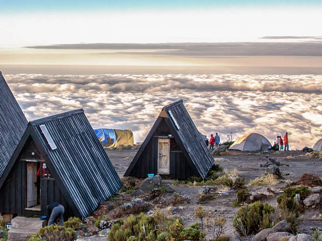 6 day marangu route kilimanjaro: 2026 fees & success tips my blog