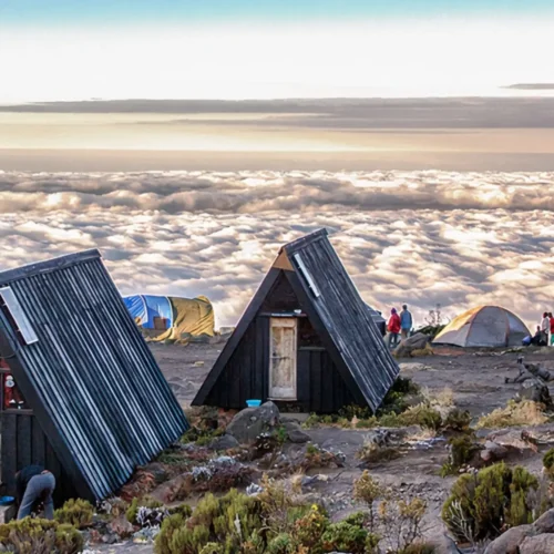 6 day marangu route kilimanjaro: 2026 fees & success tips my blog