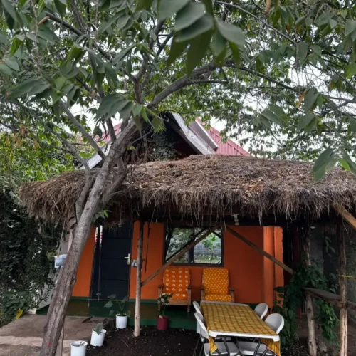 east homestay: best budget stay near kilimanjaro airport my blog