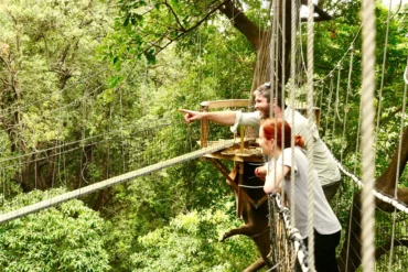 east africa adventure: top 5 thrilling safaris east