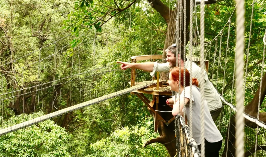 East Africa Adventure: Top 5 Thrilling Safaris