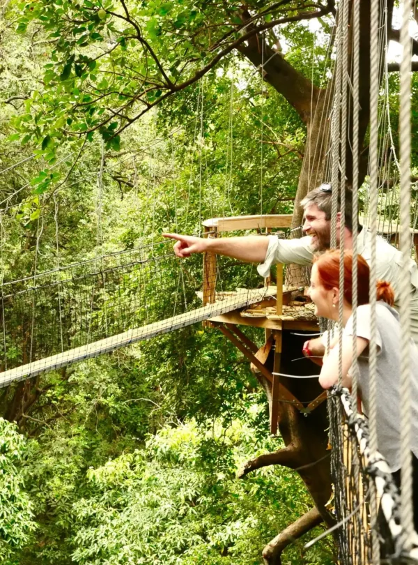 4 day tanzania safari my blog