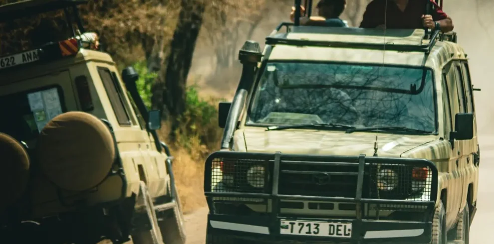 4 day tanzania safari my blog