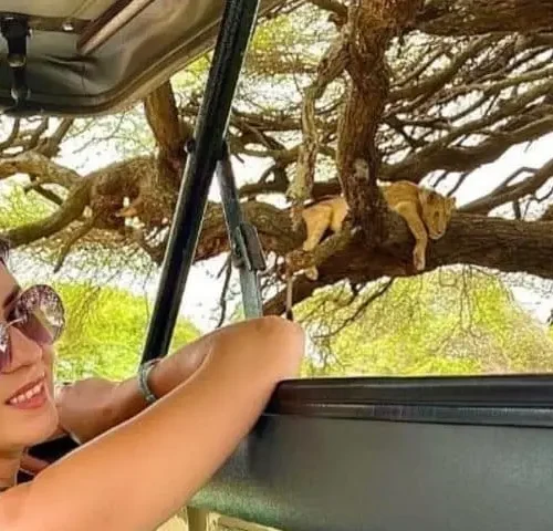 7 day tanzania safari & culture: ngorongoro & tribal tours my blog