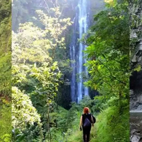 materuni waterfall hike & coffee tour: best moshi day trip my blog