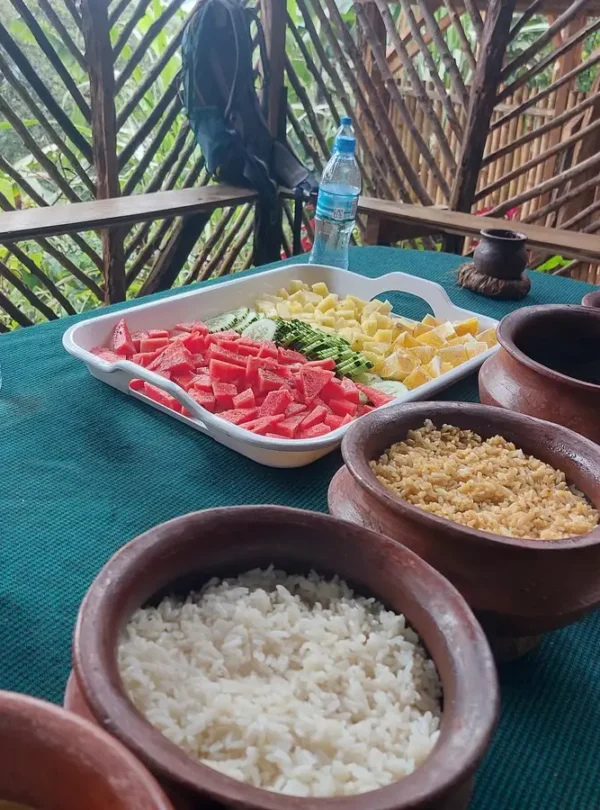 materuni waterfall hike & coffee tour: best moshi day trip my blog