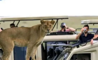 6 day tanzania big five safari my blog