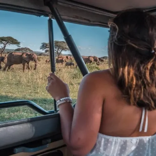 6 day tanzania big five safari my blog