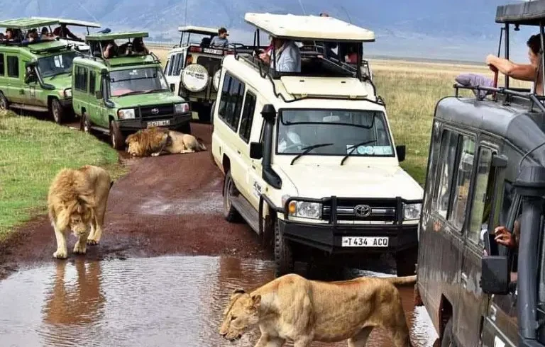 5 day tanzania safari itinerary my blog
