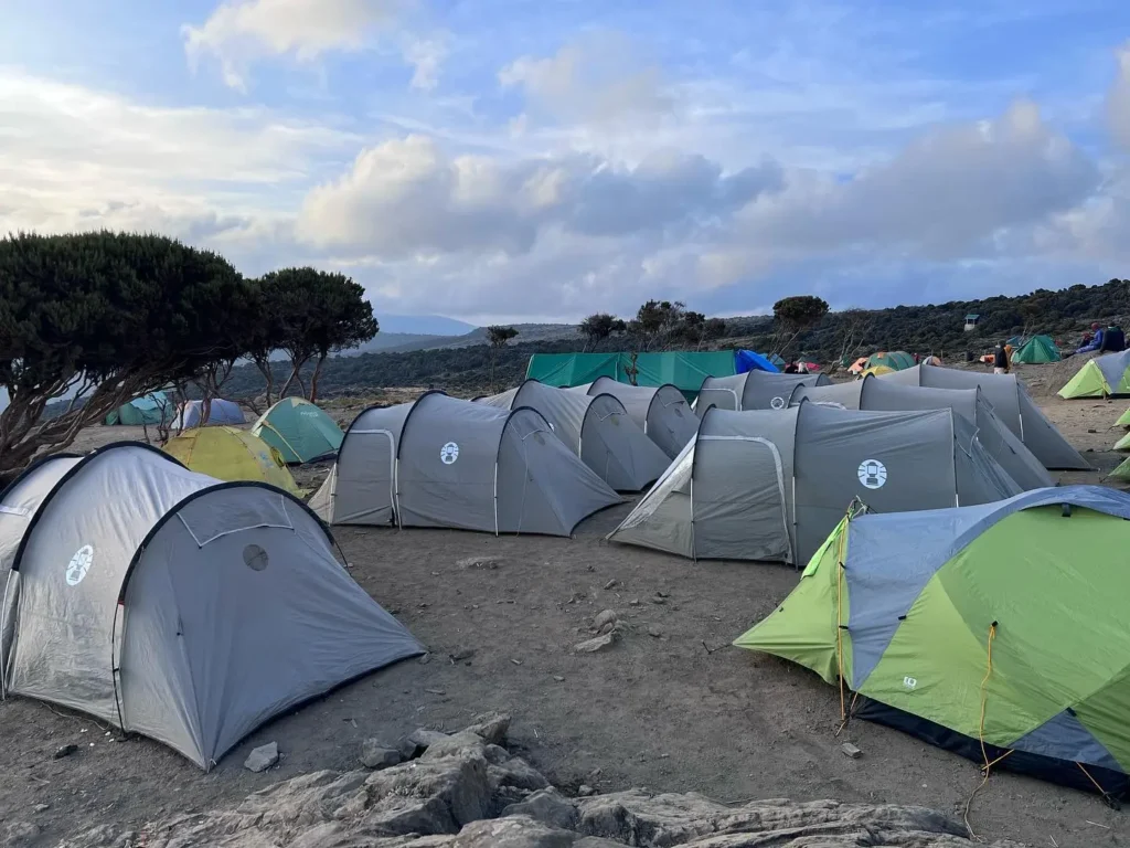7 day rongai route kilimanjaro trek: high success rate my blog
