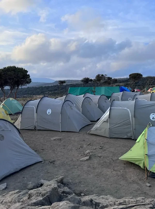 6 day rongai route: kilimanjaro success experts my blog