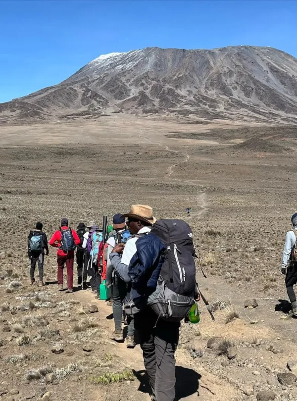 7 day rongai route kilimanjaro trek: high success rate my blog