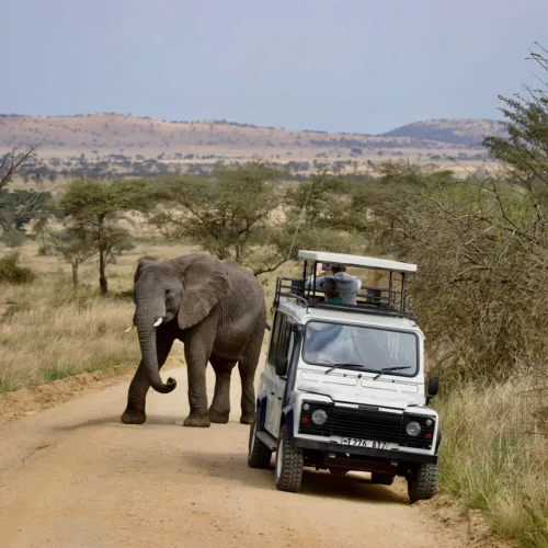 4 day tanzania safari | tarangire & ngorongoro crater my blog