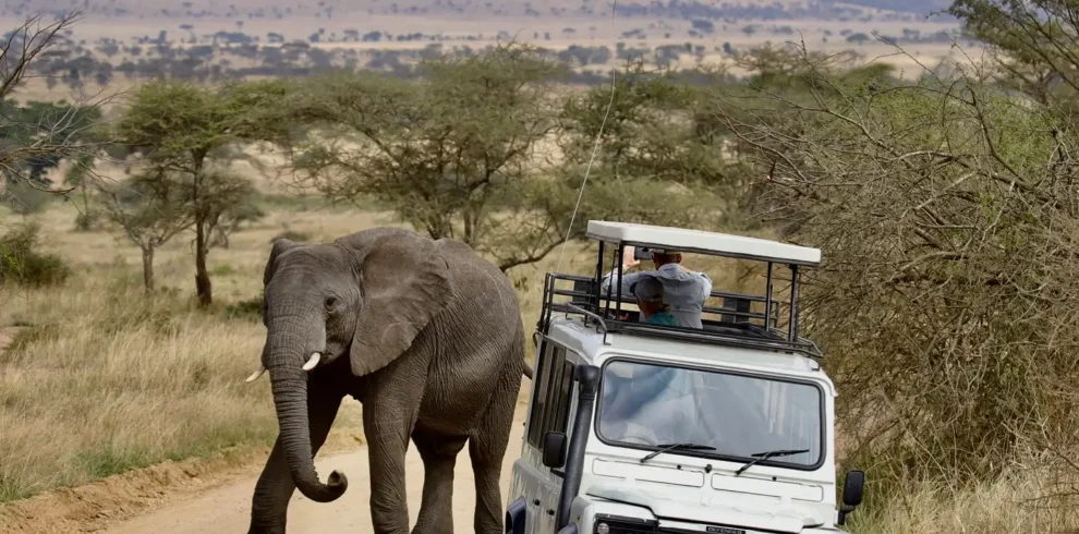 4 day tanzania safari | tarangire & ngorongoro crater my blog