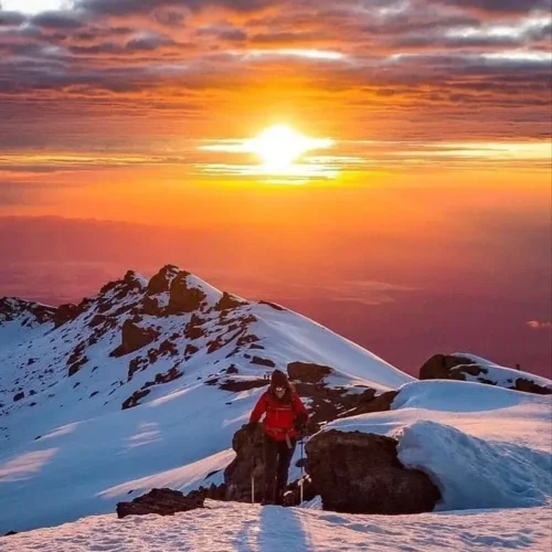 7 day machame route kilimanjaro trek | high success rate my blog