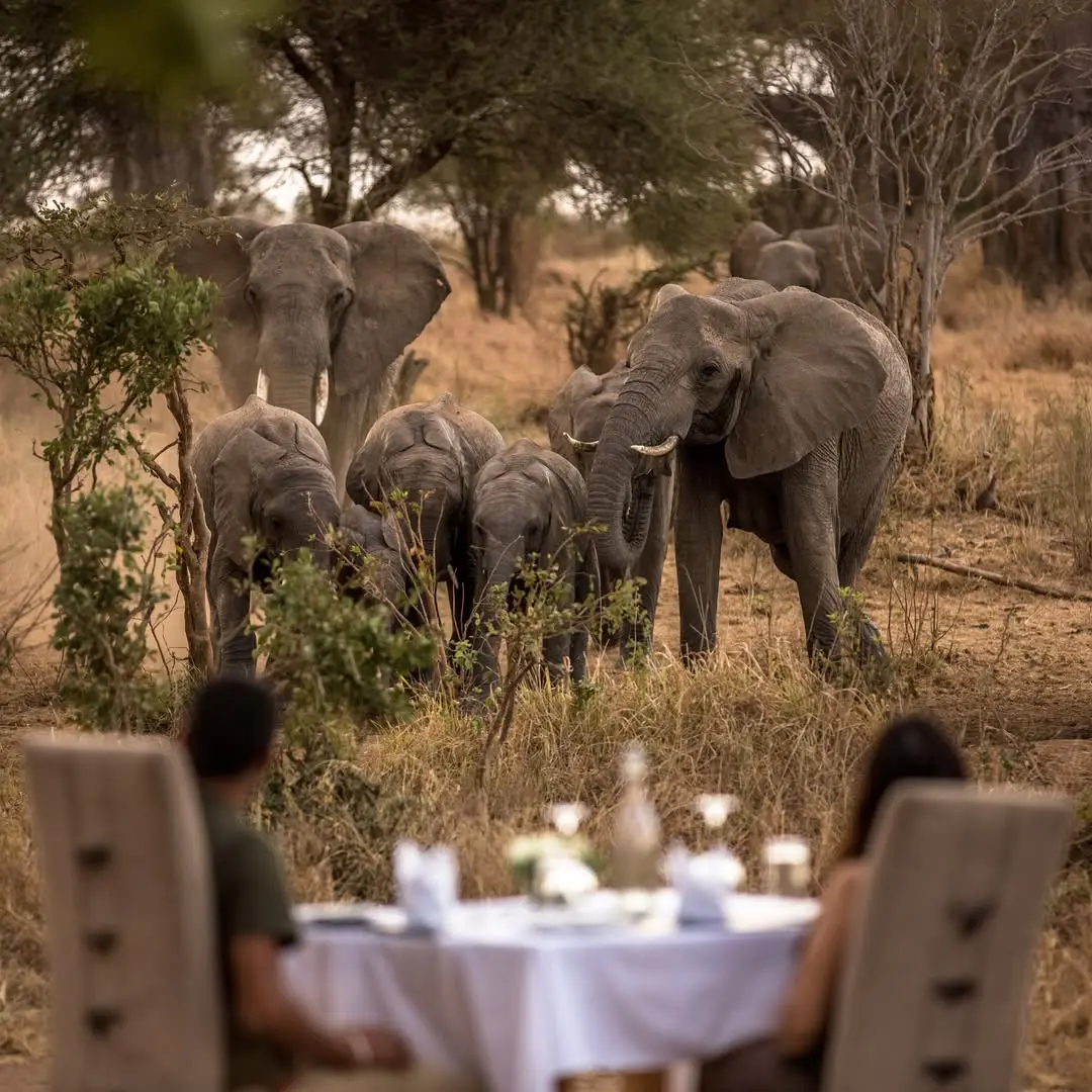 Tarangire National Park: Discover 7 Wonders Tarangire National Park