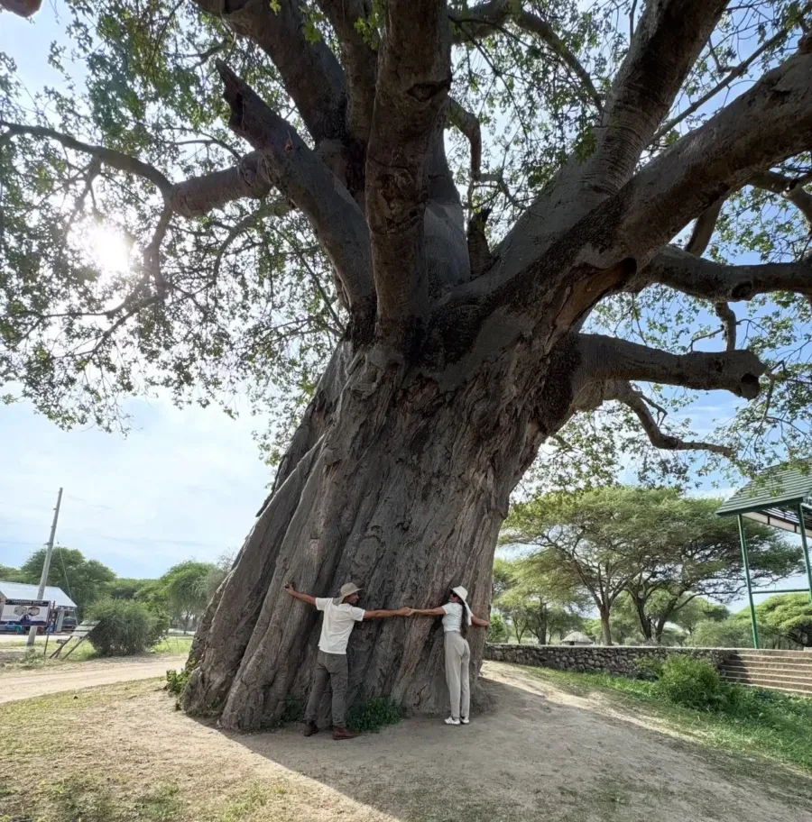 Tarangire National Park: Discover 7 Wonders Tarangire National Park