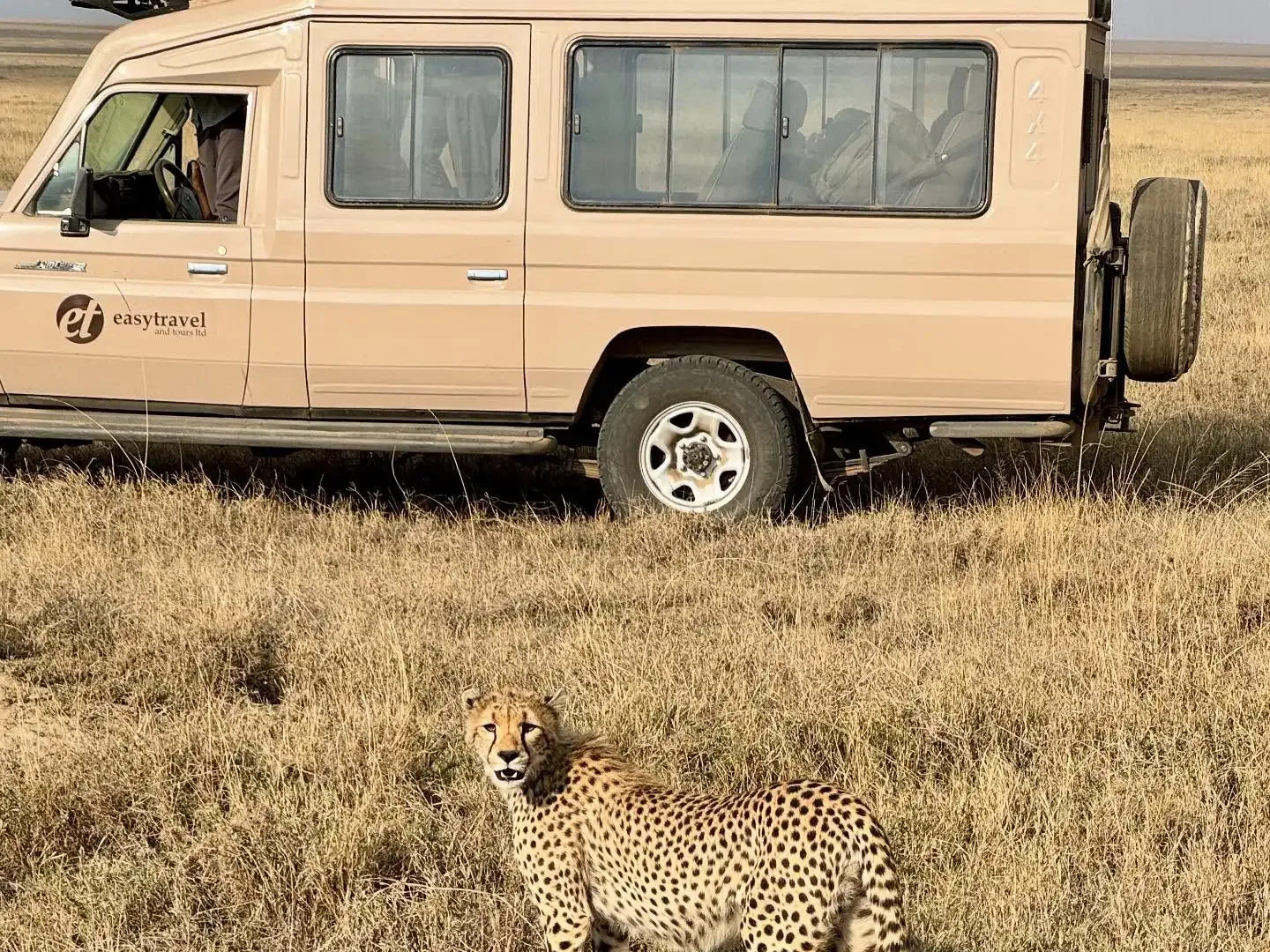 Serengeti National Park: Ultimate Safari Guide Serengeti National Park