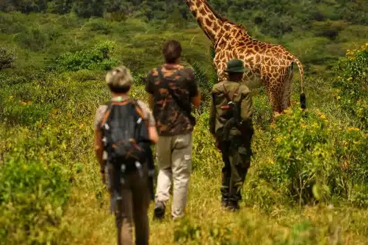 Arusha National Park