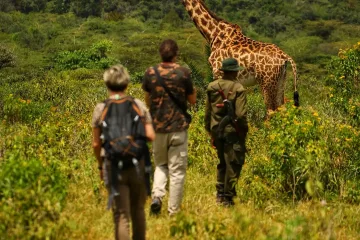 Arusha National Park