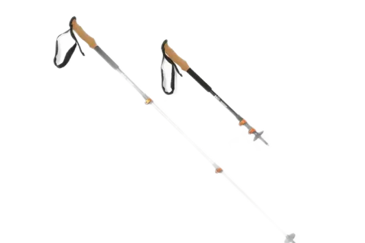 Walking Poles