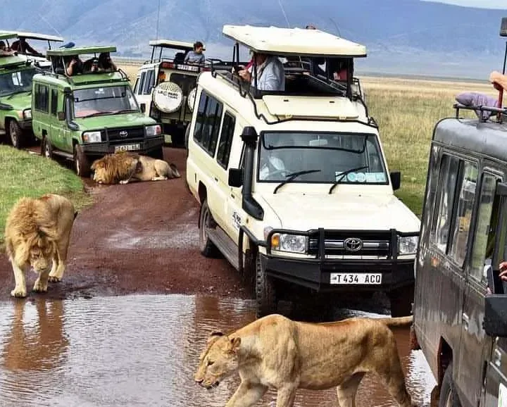East Africa Itinerary