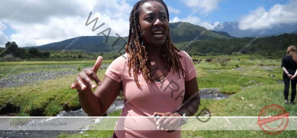 Walking Safari Anyone