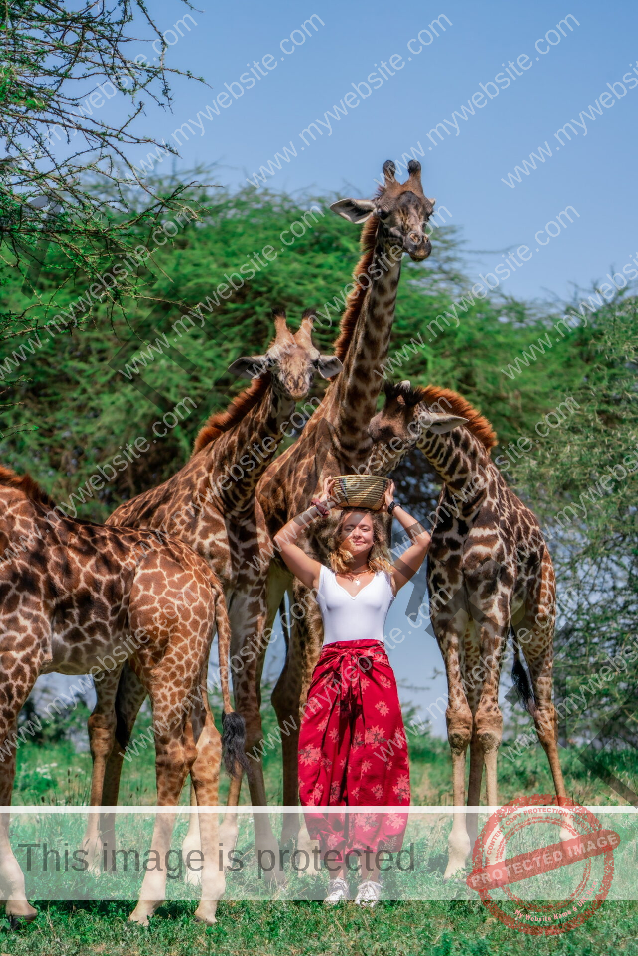 Serval Wildlife Day Trip