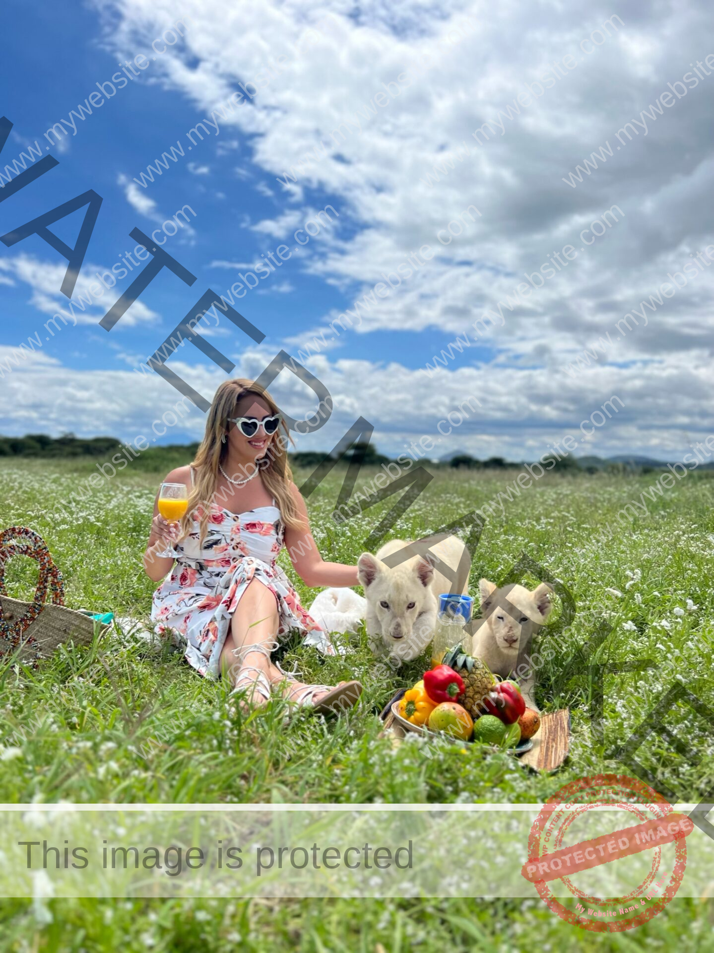 Serval Wildlife Day Trip