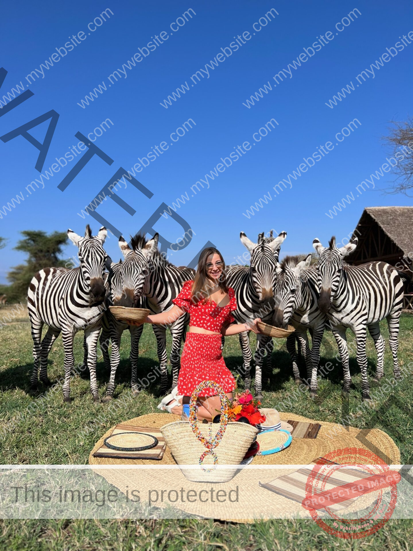 Serval Wildlife Day Trip