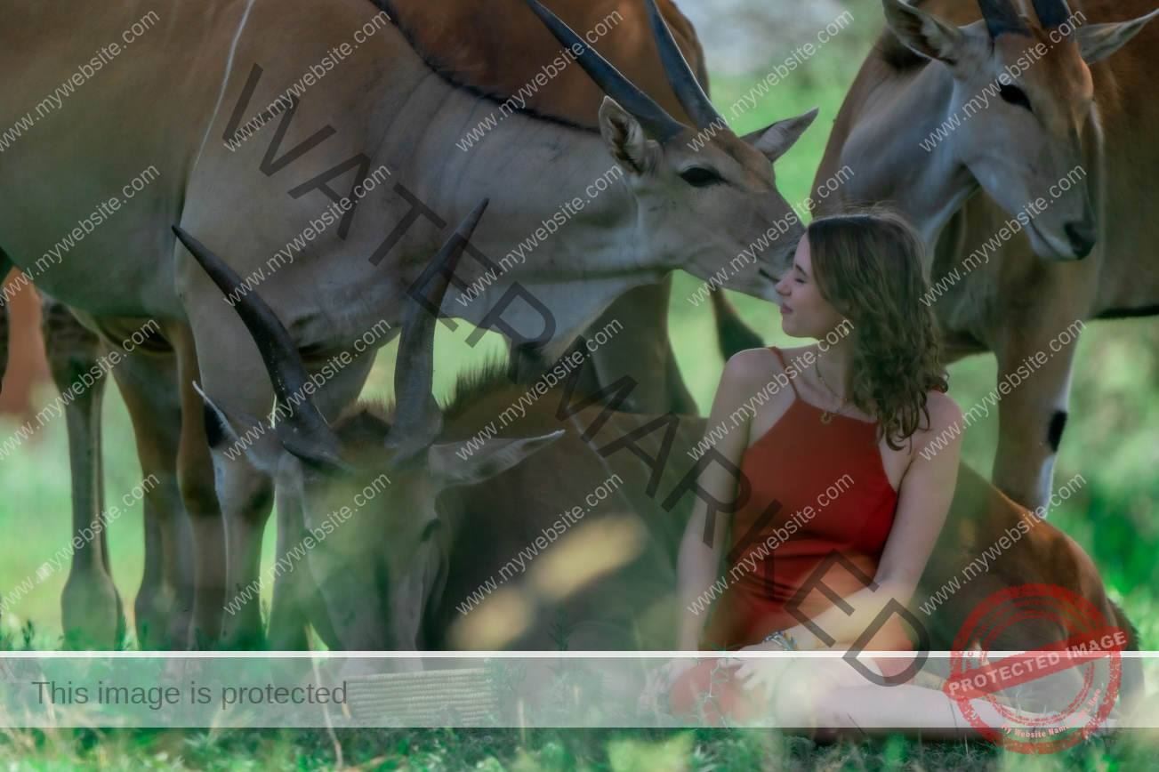 Serval Wildlife Day Trip