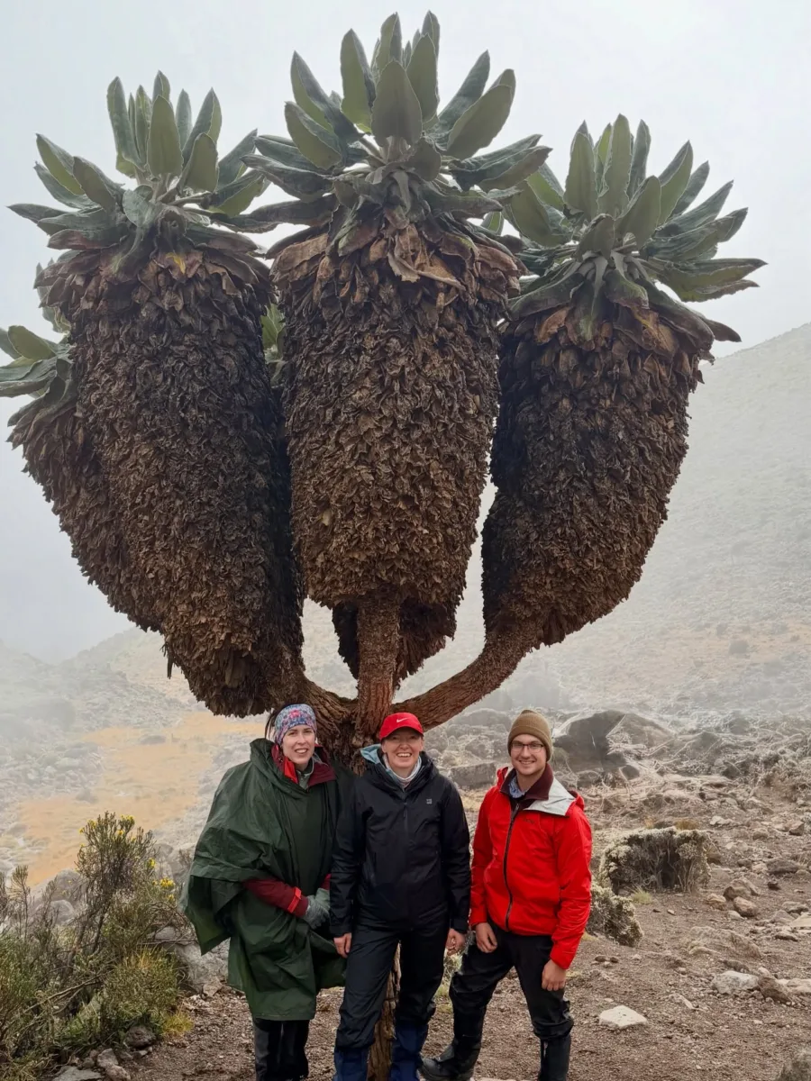 Marangu Route Itinerary