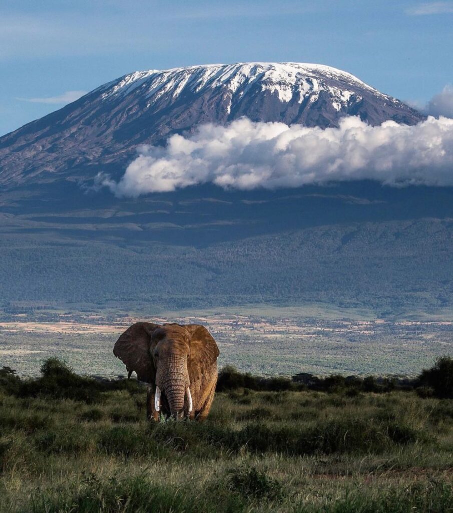 Height of Kilimanjaro: Unveiling the True Summit - EAST