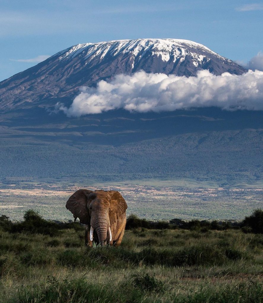 Mountain Majesty: 7 Epic Escapes on Kilimanjaro - EAST