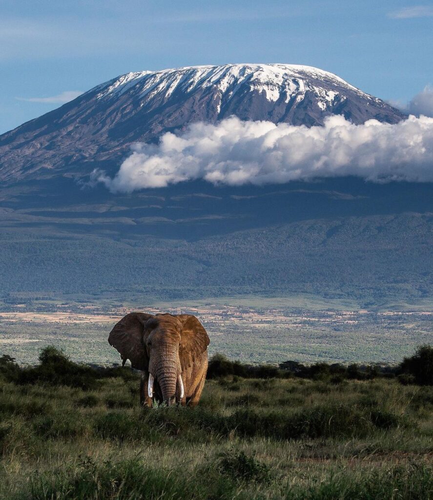 How Tall is Mount Kilimanjaro? Amazing Facts - EAST