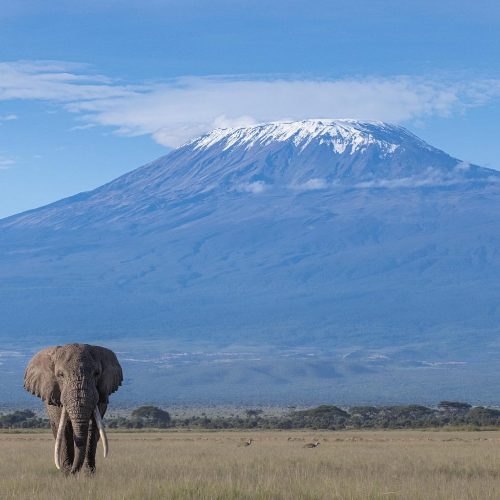 Mountain Majesty: 7 Epic Escapes on Kilimanjaro - EAST