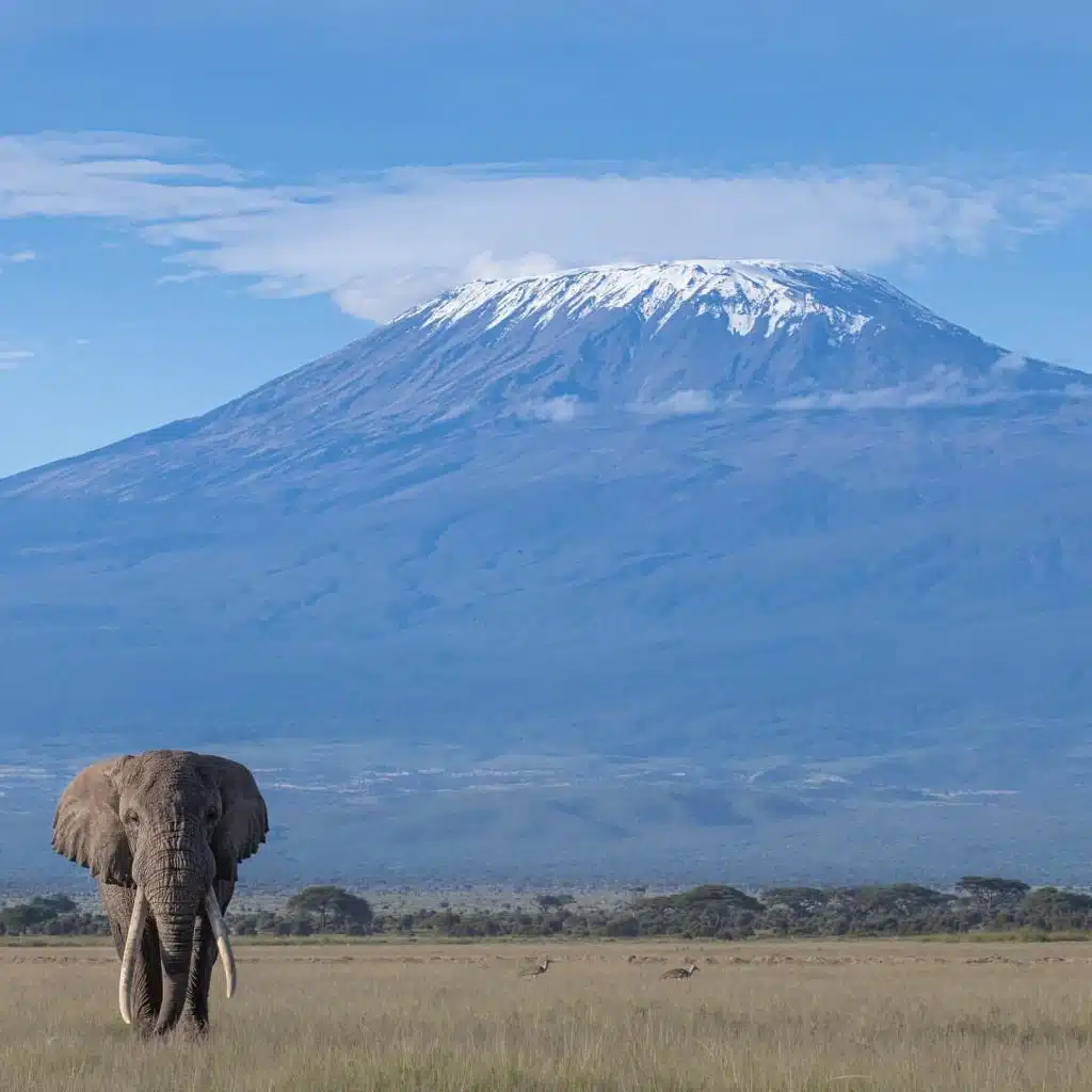 Mount Kilimanjaro: 7-Day Ultimate Trek Adventure - EAST