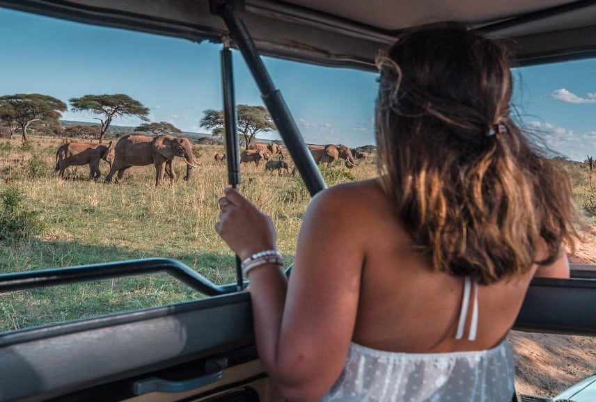 Africa Safari Trip