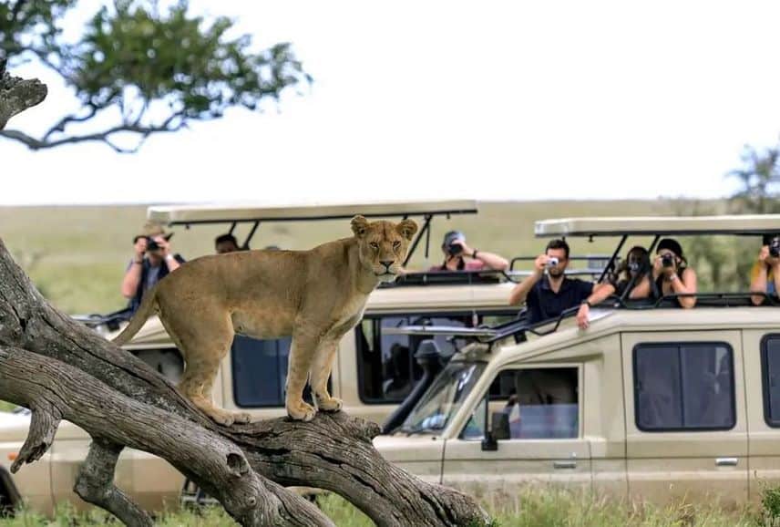 Africa Safari Trip