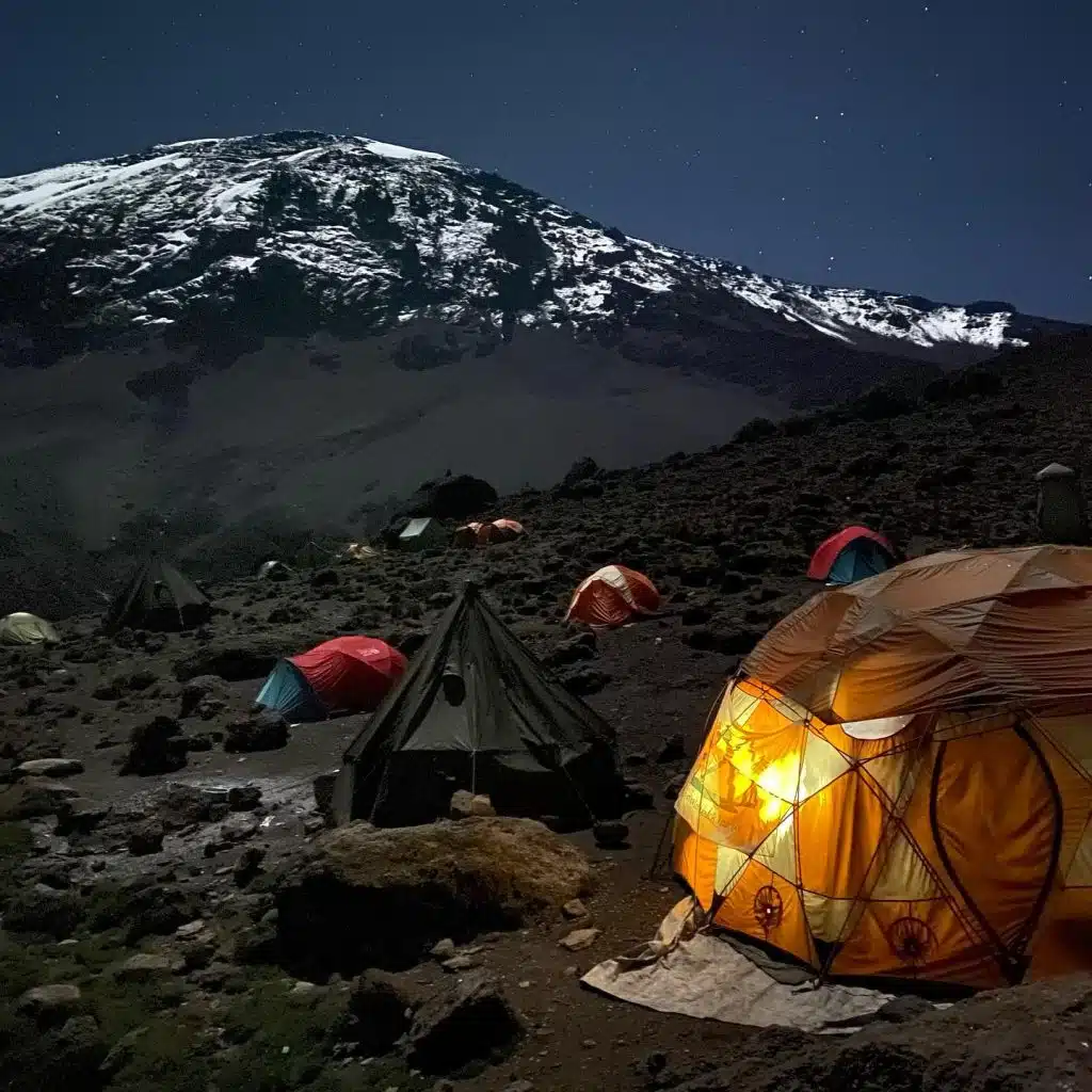 Kilimanjaro Trek: Essential Park Fees Breakdown - EAST