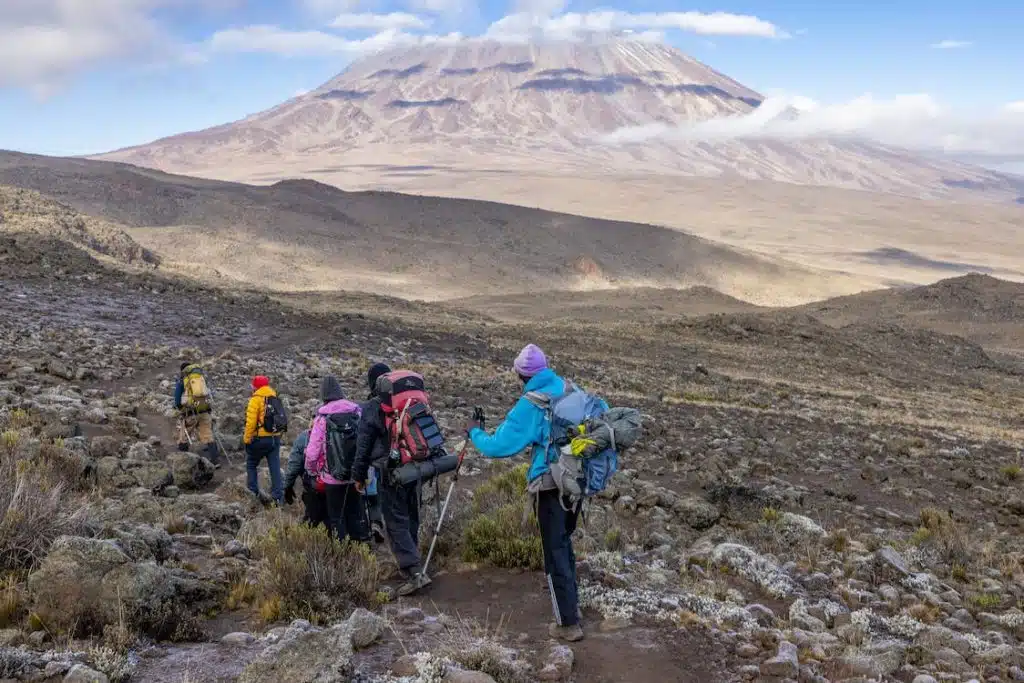 Kilimanjaro Trek: Essential Park Fees Breakdown - EAST