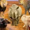 Big 5