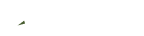 Trustpilot Logo 2022 2white