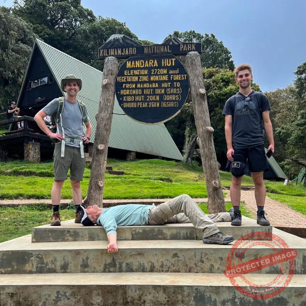 Marangu Day Hike Experience the Majesty of Kilimanjaro in a Day