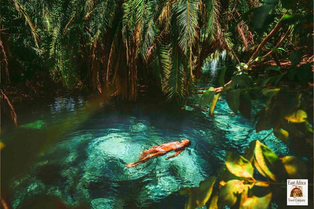 Kikuletwa Hot Springs